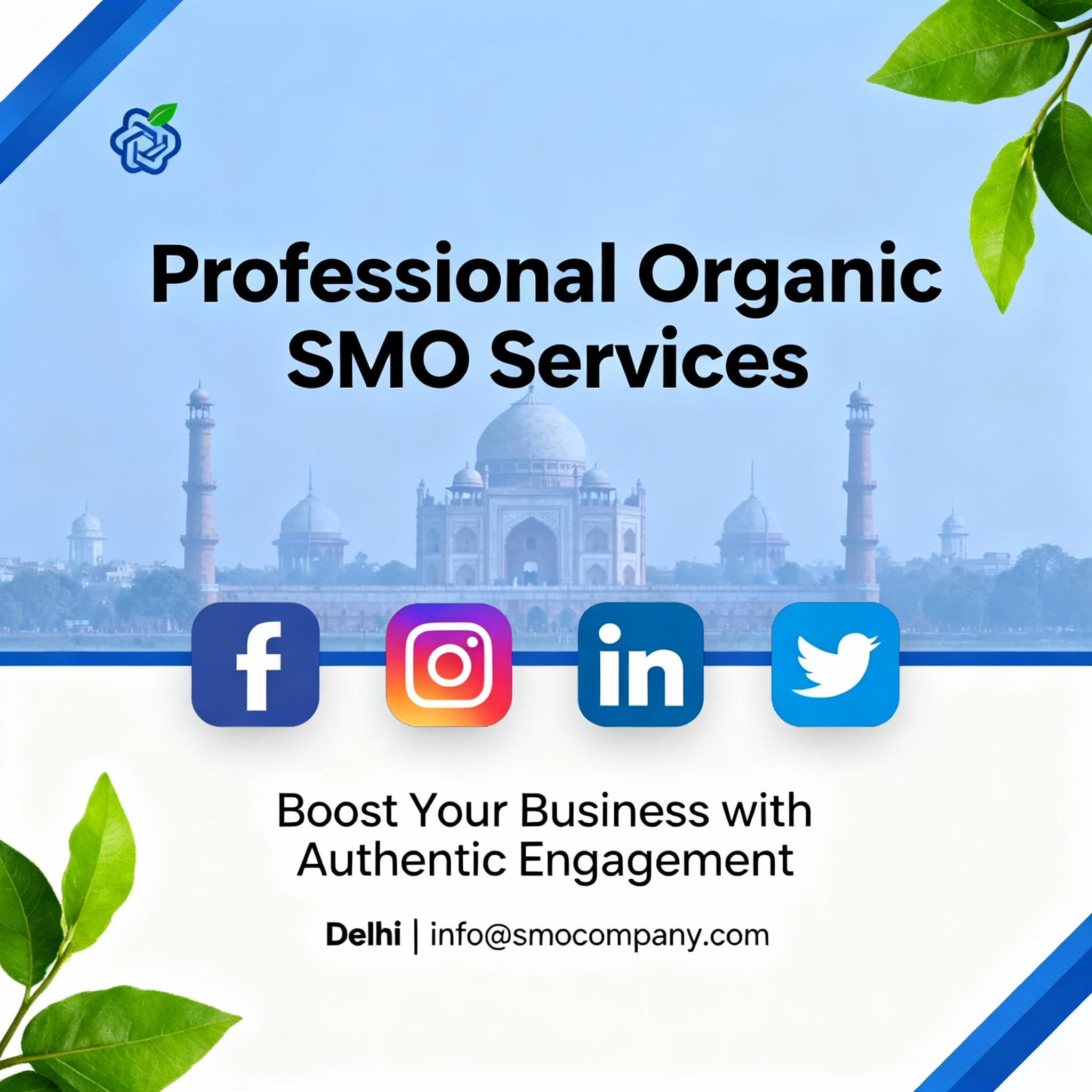 Professional Organic SMO Services in Delhi